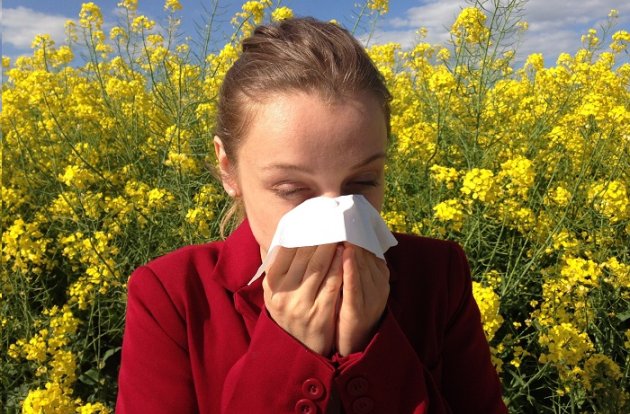 Common Triggers for Allergy Attacks